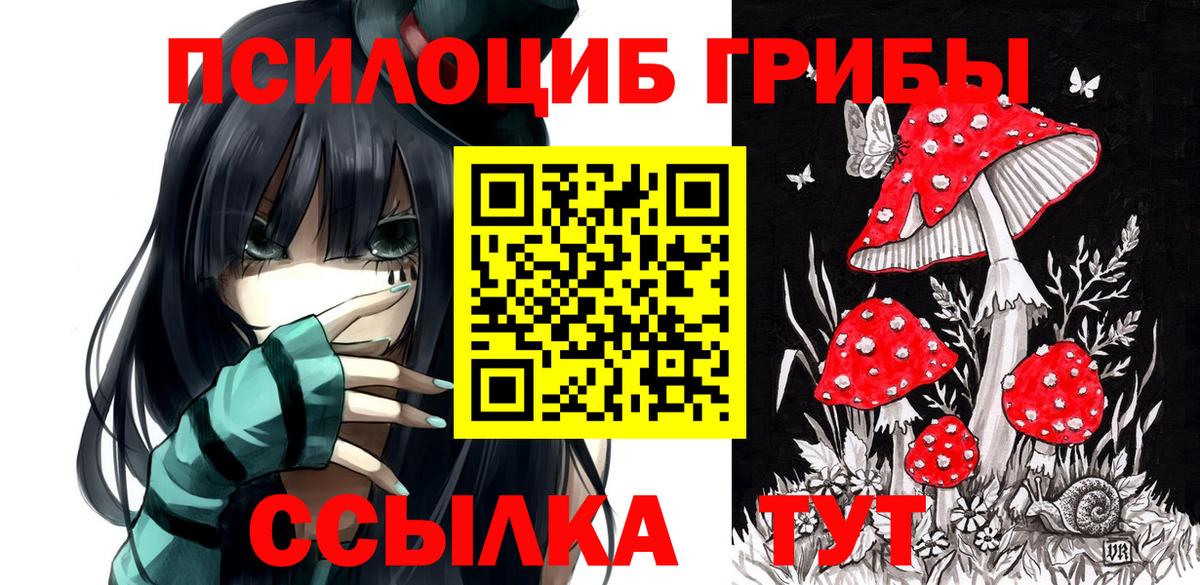 Галлюциногенные грибы Magic Shrooms  Галлюциногенные грибы прущие грибы  Мелеуз  что такое наркотик  Вход с VPN 